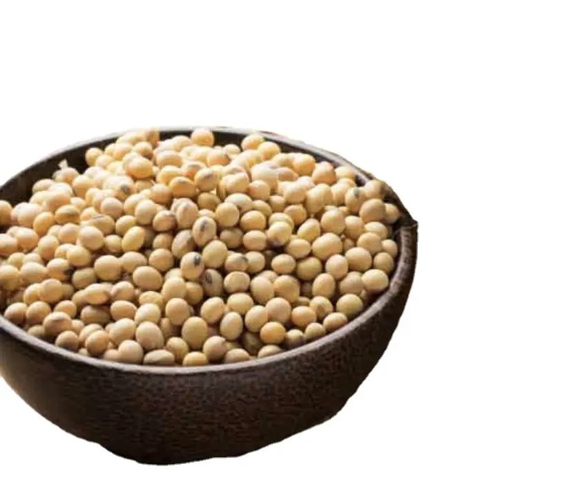 Soja de primera calidad Trigo Granos de soja Agricultura orgánica Semilla de soja plantada de Tailandia Caja personalizada Embalaje de artículos
