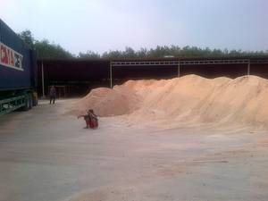 MADERA BARATA DE VIETNAM PARA EXPORTAR POR VIGI FARM - Product Image 5