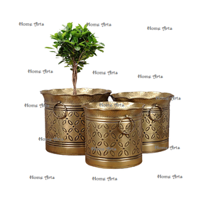 Lot de 3 jardinières en laiton de taille différente jardinière de forme ronde de qualité supérieure pour la maison, l'hôtel et le restaurant - Product Image 1