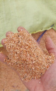 Polvo de Cáscara de Camarón con Alto Contenido de Proteína para Alimentación de Ganado y Cerdos, Suministro a Granel - Product Image 6