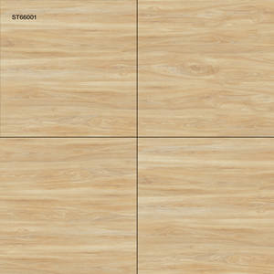 Azulejos de Piso Modernos de Alta Calidad con Acabado Brillante ST66001 600x600mm Antibacterianos Antideslizantes para Decoración y Renovación del Hogar - Product Image 1