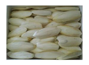 ขายกระดูกปลาหมึกแห้งด้วยแสงแดดธรรมชาติ 100% กระดูกปลาหมึกเกรดดีที่สุดสําหรับอาหารนก - Product Image 2