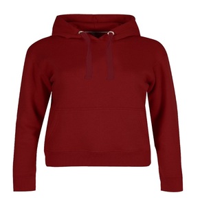 Sweat à capuche personnalisé 300-600GSM épais 100% coton pour femmes grande taille broderie capuche surdimensionnée Logo avant hiver solide - Product Image 1