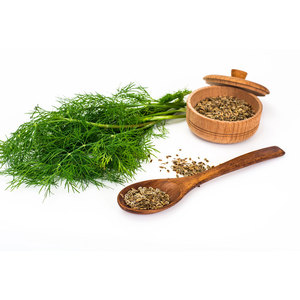 Eneldo | Potenciador de sabor culinario para suministro a granel - Product Image 6