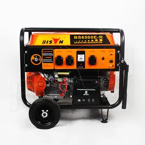 Bisonte professionale 3Kw 5kva potenza generatore benzina prezzi 220 volt 220 v Gas alternatore generatori benzina