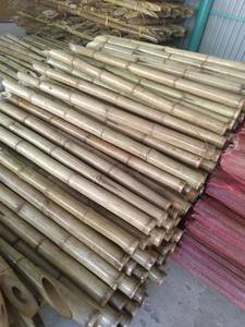 Piquet de bambou du Vietnam pour arbre de soutien à bon prix - Product Image 2