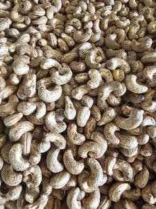 Nueces de Anacardo Tostadas Saladas Grado W240 Listas para Comer, Refrigerio Saludable para Venta al por Menor y Distribución al por Mayor - Product Image 4