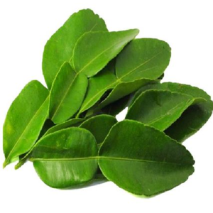 Hojas de Lima secas de primera calidad Origen de Vietnam Makrut Kaffir Leaf Supply - Product Image 2