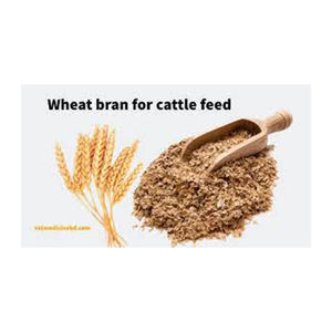 รำข้าวสาลีวัสดุที่ดีที่สุดสำหรับอาหารสัตว์ขายส่ง - Product Image 4