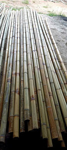 Tubes en bambou, produit phare pour les marchés d'exportation, directement de l'usine, avec devis avantageux pour les commandes en gros. - Product Image 4