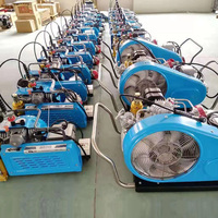 Compresseur d'air respiratoire haute pression portable 300 bars pour la plongée sous-marine, le paintball et les fusils PCP de type piston