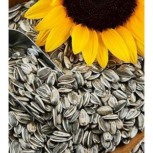 Graines de tournesol biologiques, crues et non-OGM - Product Image 2