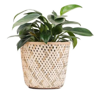 Cesta de bambú de ratán Natural hecha a mano, maceta decorativa para interiores, cubierta de maceta con mimbre, recién llegado, macetas para suelo - Product Image 1