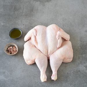 Poulet entier congelé halal de haute qualité à faible teneur en glucides sans gras trans vitamines nutriments organiques acheter maintenant livraison rapide disponible - Product Image 3