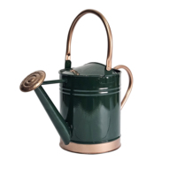 Arrosoir en métal vert avec poignée en cuivre, arroseur de plantes de jardin, pot décoratif, arroseur de fleurs pour une utilisation intérieure et extérieure