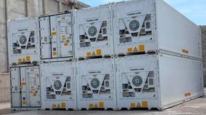 New and Used Temperature Controlled Reefer <b>Container</b> for Frozen Seafood Meat Ice Cream Pharmaceutical and Food Distribution - Product Image 3