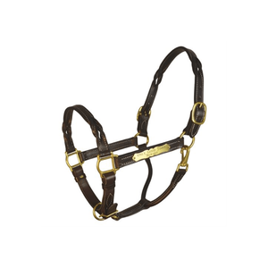 Licol en cuir de cheval en nylon, fourniture en gros, licou en cuir torsadé avec plaque signalétique, non pérenne - Product Image 1