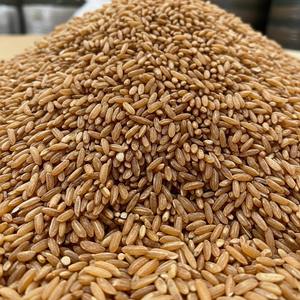 Arroz sancochado de grano largo molido y empaquetado a la perfección para mayoristas distribuidores y mercados de importación internacionales - Product Image 3