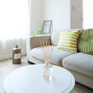 Japanese Product Sawaday Scented Stick Air <b>Freshener</b> <b>Room</b> Fragrance Clean Deep Forest Scent 70m Kobayashi Pharmaceutical - Product Image 5