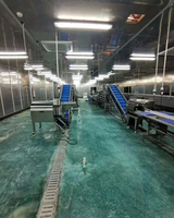 Automatische Groente-en Wassen Snijden Verwerking Productielijn Salade Sla Verwerking Apparatuur