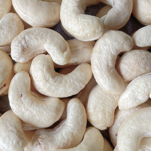 Vente en gros Prix bon marché des noix de cajou au Vietnam Noix de cajou W320 W240 Usine Santigo au Vietnam Délai court - Product Image 1