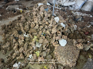 Goma sólida árabe cruda y natural, coloide protector para prevenir la precipitación en agricultura, goma arábiga Talha - Product Image 5