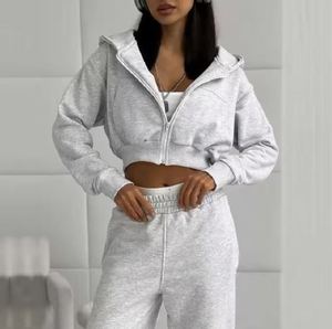 Sweat à capuche court Mode féminine Gym Wear Workout Style OEM Logo personnalisé Fournisseur en gros - Product Image 3