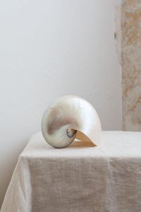 Spirale océan coquille naturel décoratif artisanat matériel fait à la main ornement intérieur approvisionnement Vietnam - Product Image 3