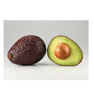 El aguacate congelado es un producto famoso Fruta de alta calidad al mejor precio - Product Image 6
