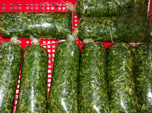 Venta al por mayor, precio barato, calidad superior, hojas amargas congeladas enteras/picadas de Vietnam/ IQF, hojas amargas molidas - Product Image 3