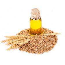 Bulk <b>Wheat</b> Germ Oil Pure Wholesale Cold Pressed for Skin & Hair Care, Private Label Available Manufacturer & Exporter From India - Product Image 4