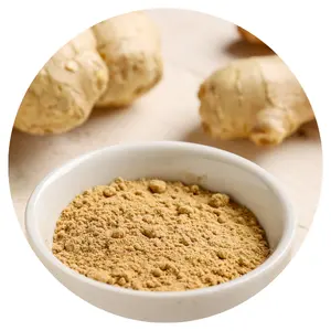 PRODUTO QUENTE Raw Dried Ground Ginger Farinha Para Alimentos E Especiarias No Vietnã // Sr. Kevin + 84 968 311 314