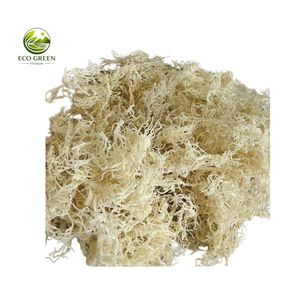 <b>Dried</b> Sea <b>Moss</b> Premium Wildcrafted Raw Gold Irish <b>Moss</b> Wholesale Sun <b>Dried</b> Seaweed Factory Direct Bulk Price - Product Image 4