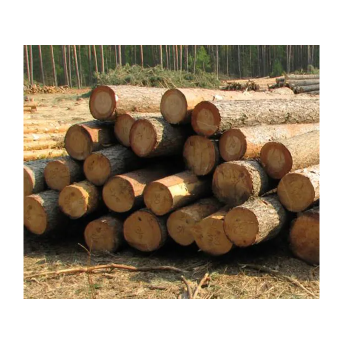 High Quality Pine Wood Logs for Construction Premium Timber Material