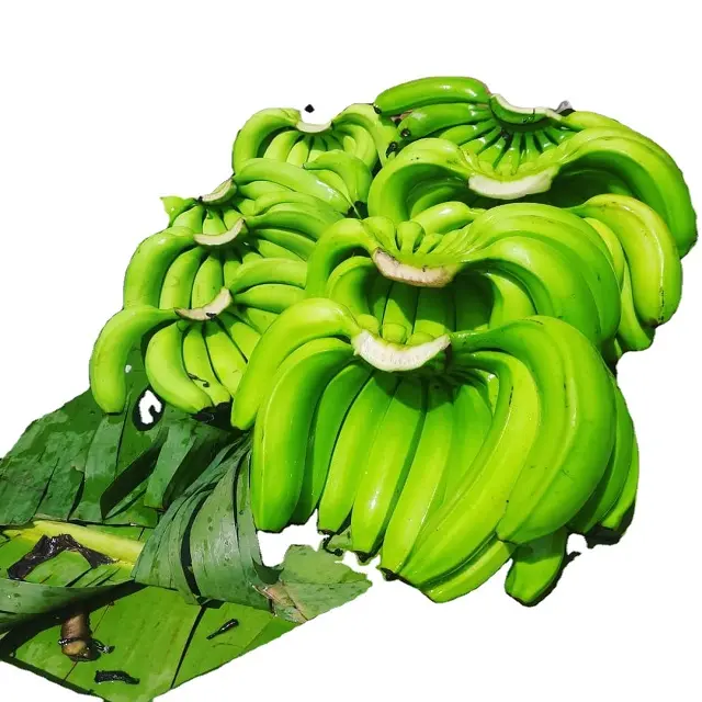 Cavendish Banana/Crop Green Tropical Banana OEM Estilo Organic Cavendish Color