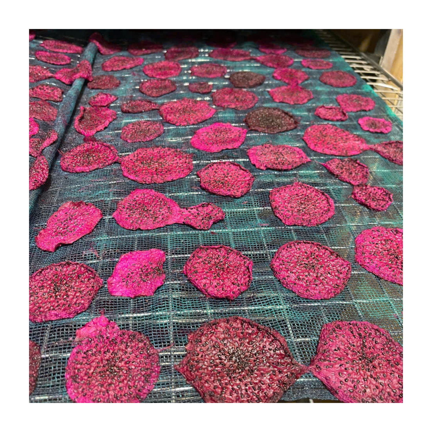 Premium Dried Dragon Fruit Slices, Naturally Sweet, No Sugar Added, Perfect for Smoothies, Yogurt, Baking, and Anytime Snacking