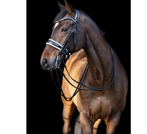 Brida snaffle - Product Image 5