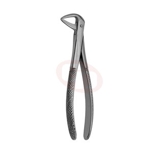 Forceps dentaire pour l'extraction de dents avec finition polonaise miroir Forceps d'extraction dentaire - Product Image 1