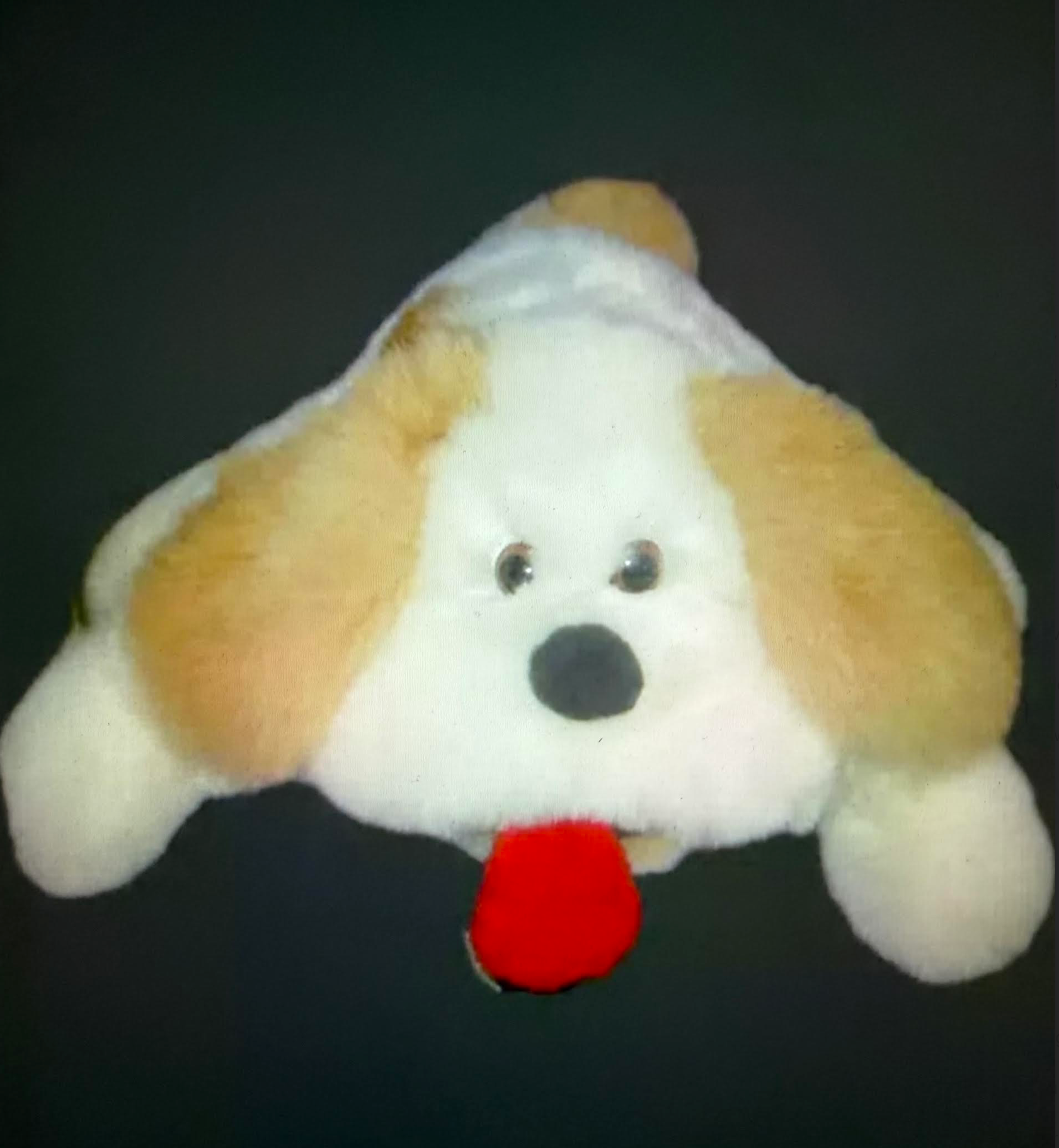 ช็อคโกแลต