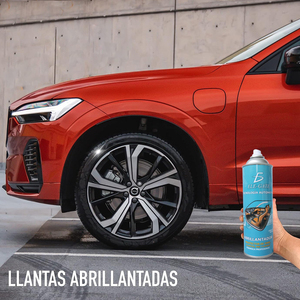 Abrillantador de Vinilo y Neumáticos en Aerosol de 450 ml, Producto Líquido para el Cuidado del Automóvil, para el Mantenimiento de Vehículos - Product Image 2