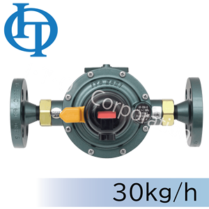 Regulador de Presión de Cambio Automático de GLP Industrial Comercial - Product Image 4