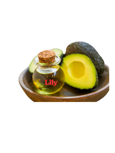 Huile d'avocat vierge pressée à froid de qualité alimentaire et utilisation cosmétique/Lily - Product Image 3
