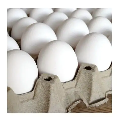 Venda quente de ovos de mesa de frango fresco e ovos fertilizados para incubação, ovos marrom preço baixo/fornecimento da Alemanha