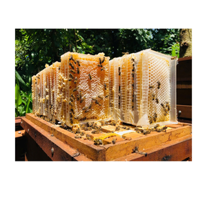 Pastel de miel dulce y húmedo: un sabor de tradición Pastel de miel clásico Perfección: húmedo y sabroso - Product Image 1