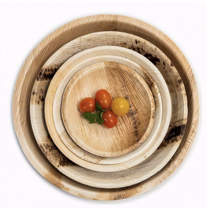 Platos ecológicos de hoja de palma Areca de alta calidad y disponibles en variedad de formas - Product Image 4