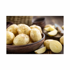 Meilleures ventes et qualité supérieure, produit 100% naturel, pommes de terre fraîches d'Égypte, très délicieuses pour l'exportation des États-Unis - Product Image 4