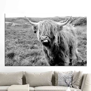 Tableau sur toile Vache des Highlands : Décoration murale de bétail écossais, motif imprimé, toile encollée - Product Image 1