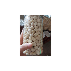 Explorez le profil nutritionnel des noix de macadamia et leur rôle dans un régime équilibré noix de macadamia du Vietnam - Product Image 4