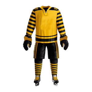 Uniforme de hockey sur glace 100% entièrement personnalisé, broderie respirante, antibactérien, unisexe, adulte, vente en gros, meilleure qualité, nouveau style - Product Image 1
