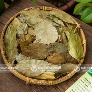 Vietnam Export Dried and Standard <b>Guava</b> Leaves DRY <b>GUAVA</b> LEAVES, 100% - Product Image 4